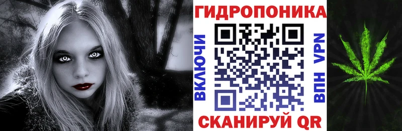 Купить где  Каргополь  МАРИХУАНА сатива 